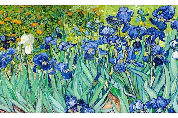 Bức tranh Hoa diên vĩ - Biểu tượng sự sáng tạo của Van Gogh