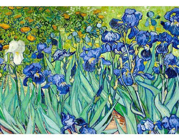 Bức tranh Hoa diên vĩ - Biểu tượng sự sáng tạo của Van Gogh