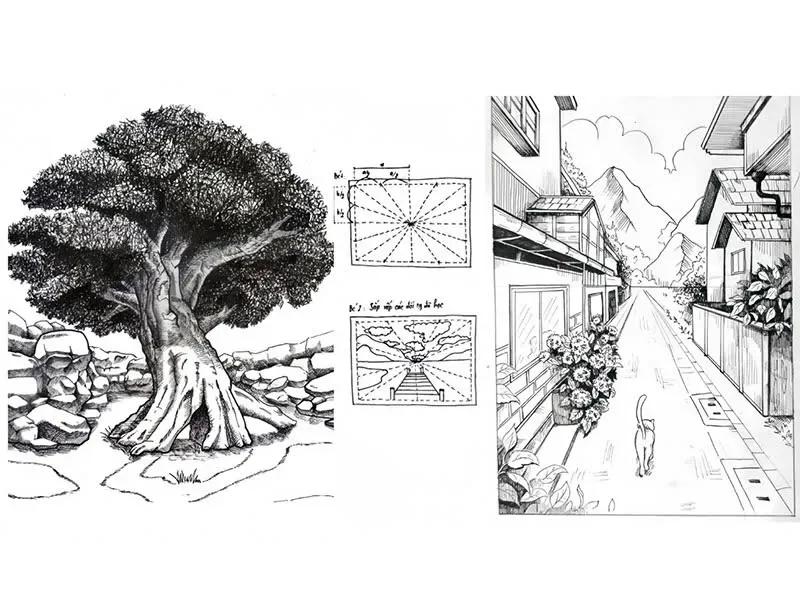 Giáo trình bài bản