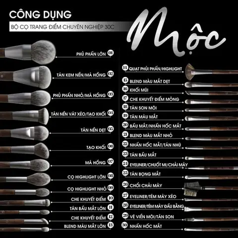 Cách Dùng Cọ Vẽ