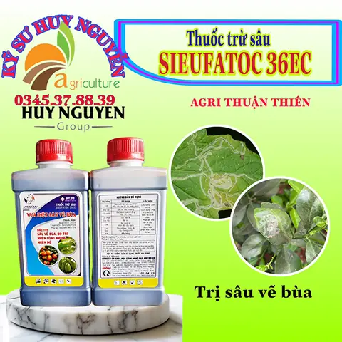 Cách Trị Sâu Vẽ Bùa