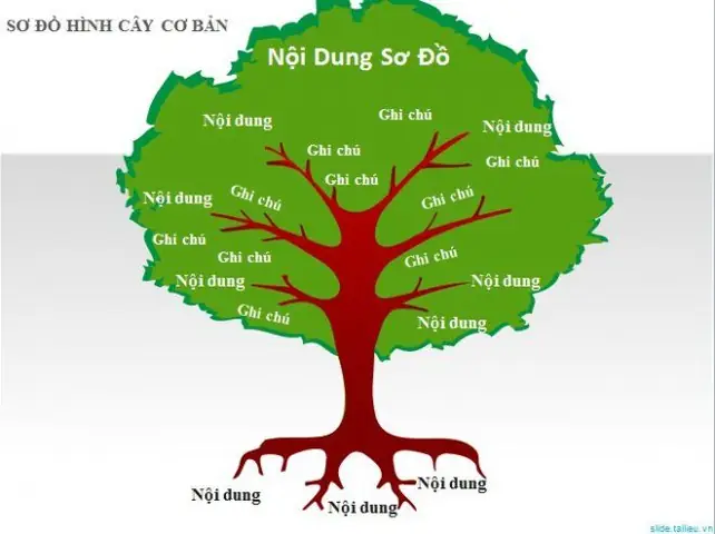 Cách Vẽ Bài Cây Cách Vẽ Bài Cây