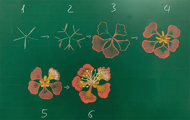 Cách Vẽ Bảng Đẹp