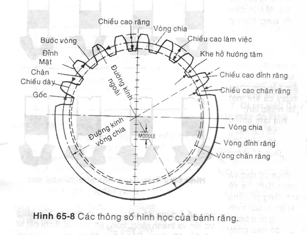 Cách Vẽ Bánh Răng
