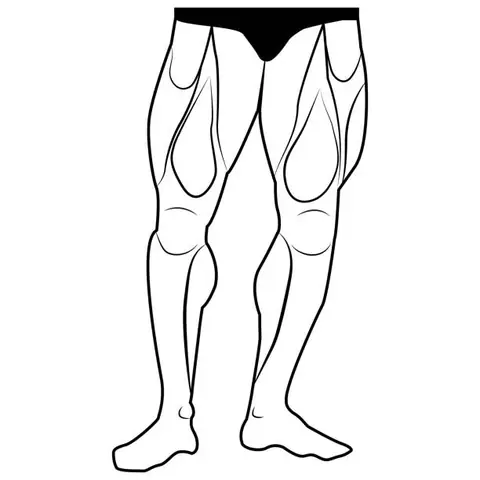 Cách Vẽ Bắp Chân