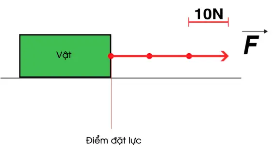 Cách Vẽ Biểu Diễn Lực Cách Vẽ Biểu Diễn Lực