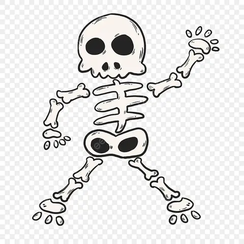 Cách Vẽ Bộ Xương Cách Vẽ Bộ Xương
