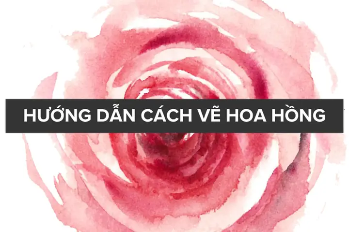 Cách Vẽ Bông Hồng Đẹp