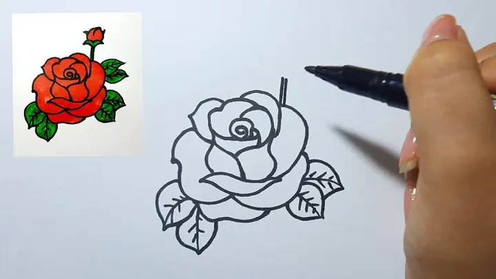 Cách Vẽ Búp Hoa Hồng