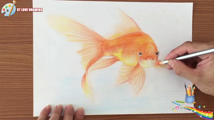 Cách Vẽ Cá Ba Đuôi Cách Vẽ Cá Ba Đuôi