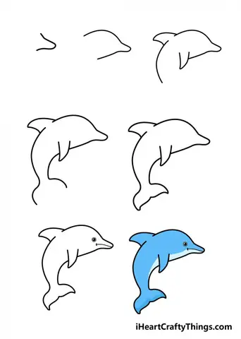 Cách Vẽ Cá Heo 3d
