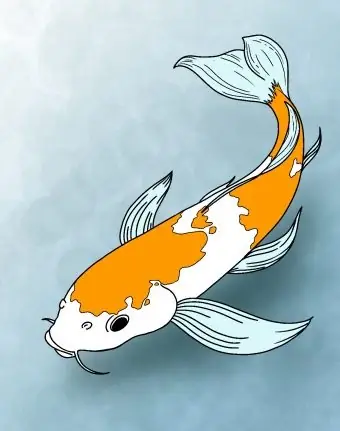 Cách Vẽ Cá Koi