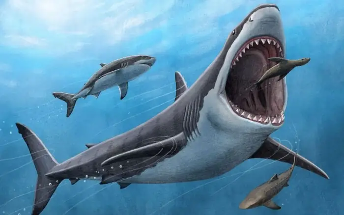 Cách Vẽ Cá Mập Megalodon