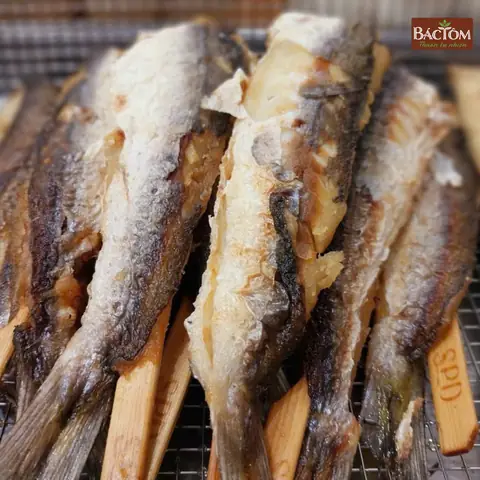 Cách Vẽ Ca Nhồng