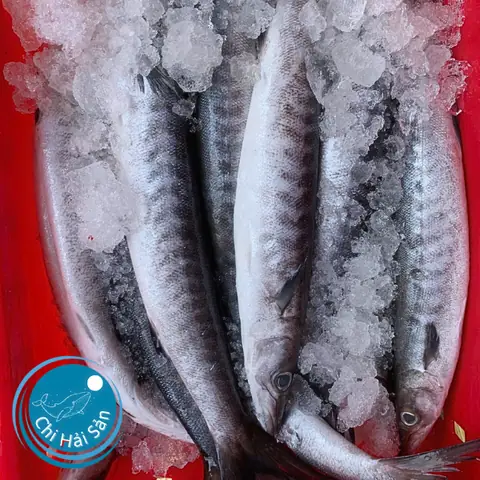 Cách Vẽ Ca Nhồng