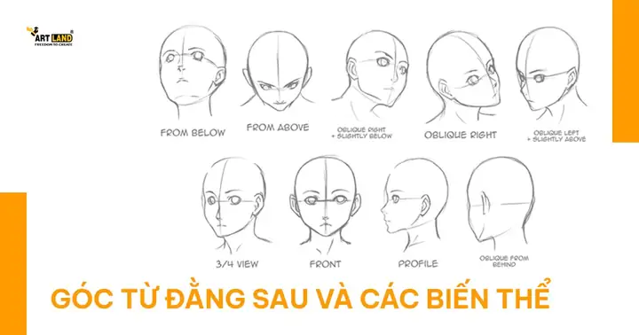 Cách Vẽ Các Góc Mặt Cách Vẽ Các Góc Mặt