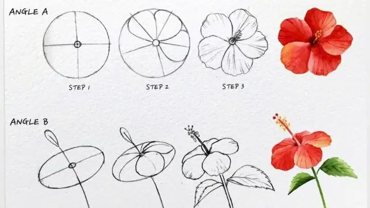 Cách Vẽ Các Loại Hoa