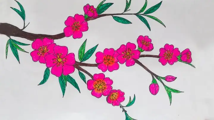 Cách Vẽ Cành Hoa Cách Vẽ Cành Hoa