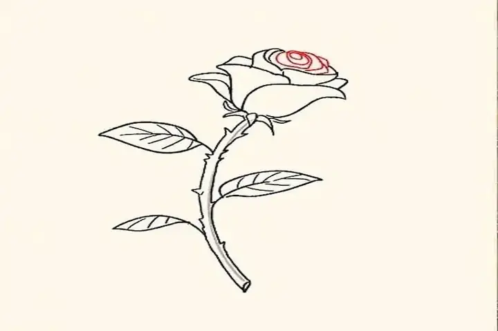 Cách Vẽ Cành Hoa Hồng Cách Vẽ Cành Hoa Hồng