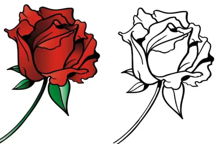 Cách Vẽ Cành Hoa Hồng Cách Vẽ Cành Hoa Hồng