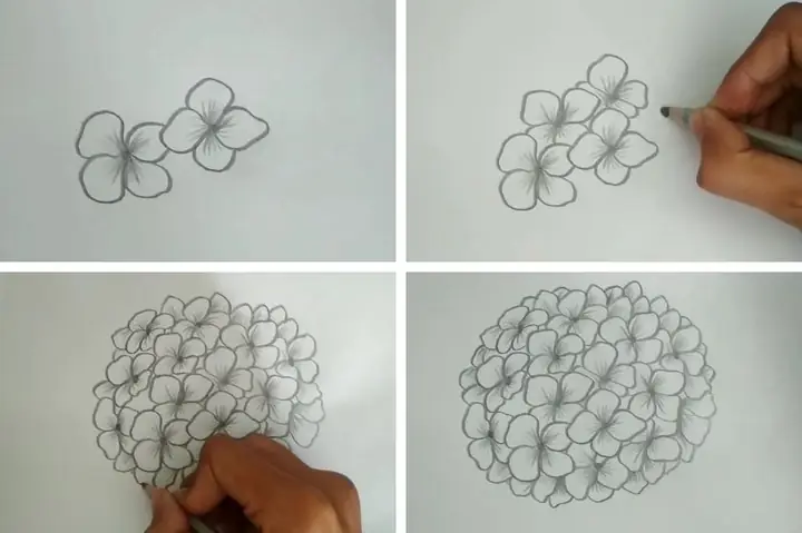 Cách Vẽ Cấu Hìn