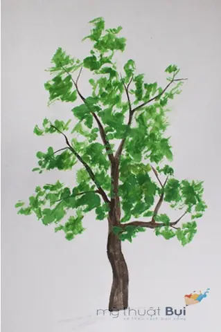 Cách Vẽ Cây Bàng