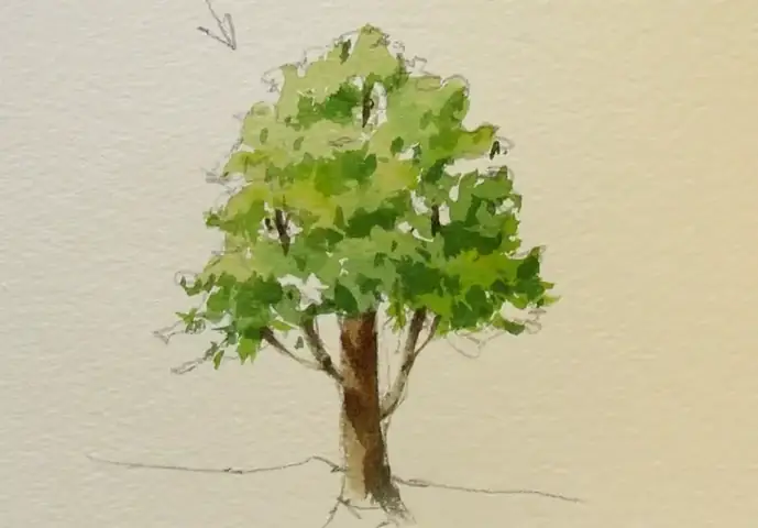 Cách Vẽ Cây Bàng