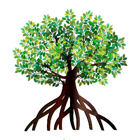 Cách Vẽ Cây Đước