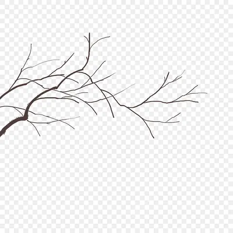 Cách Vẽ Cây Héo