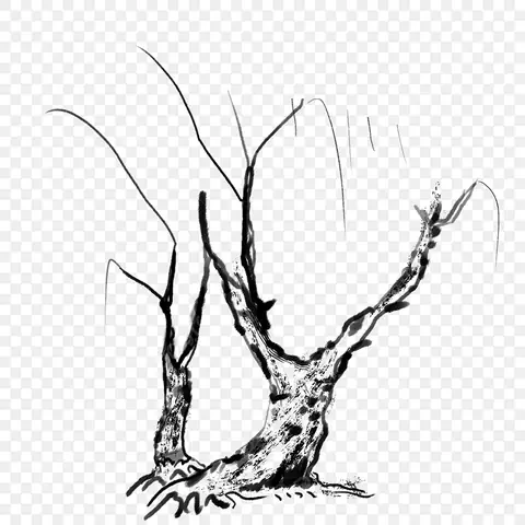 Cách Vẽ Cây Héo