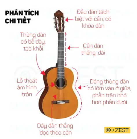Cách Vẽ Cây Môn