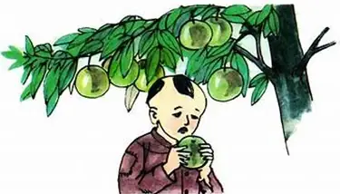 Cách Vẽ Cây Vú Sữa