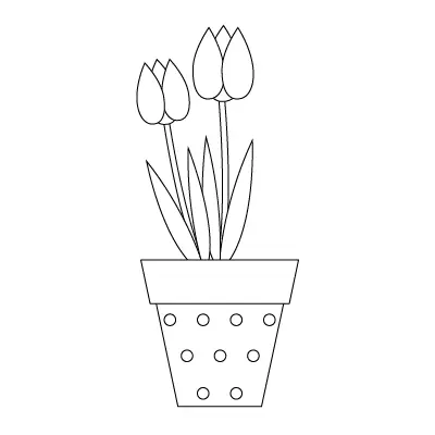 Cách Vẽ Chậu Hoa Tulip
