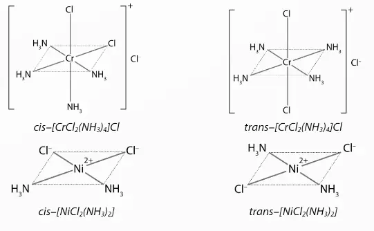 Cách Vẽ Cis Trans