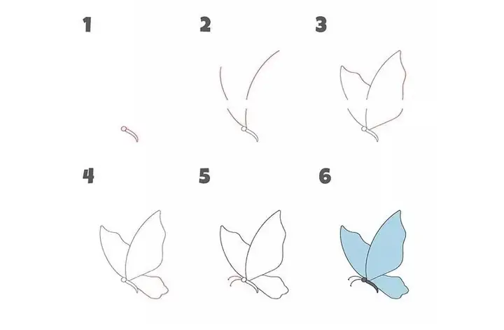 Cách Vẽ Con Bươm Bướm