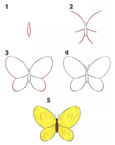 Cách Vẽ Con Bươm Bướm