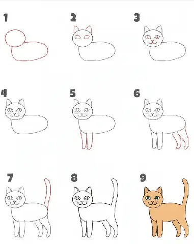 Cách Vẽ Con Mèo
