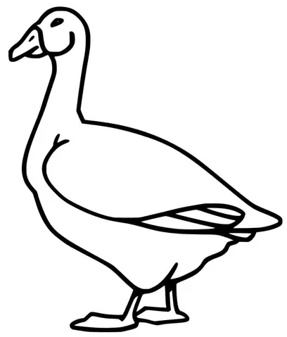 Cách Vẽ Con Ngỗng