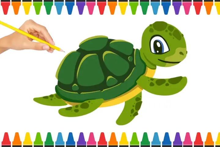 Cách Vẽ Con Rùa Đẹp