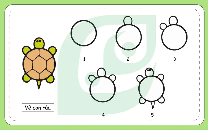 Cách Vẽ Con Rùa