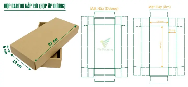 Cách Vẽ Đáy Hộp Cách Vẽ Đáy Hộp