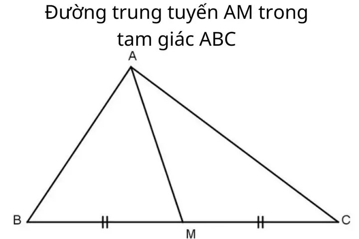 Cách Vẽ Đường Trung Tuyến Cách Vẽ Đường Trung Tuyến