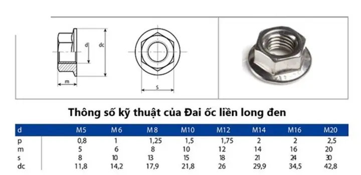 Cách Vẽ Ecu Cách Vẽ Ecu