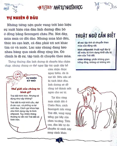 Cách Vẽ Elipsoit
