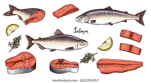 Cách Vẽ Fillet