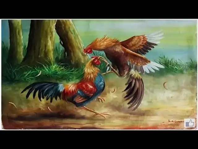 Cách Vẽ Gà Chọi Cách Vẽ Gà Chọi
