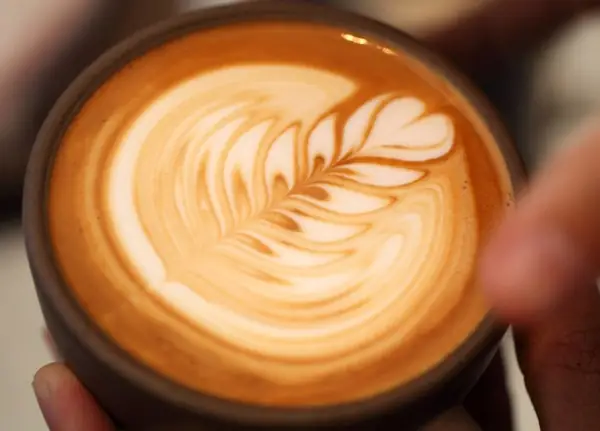 Cách Vẽ Hình Capuchino Cách Vẽ Hình Capuchino