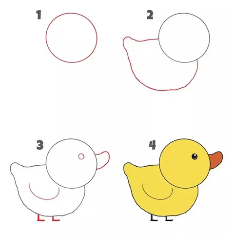 Cách Vẽ Hình Con Vật Cách Vẽ Hình Con Vật