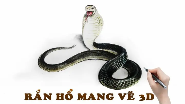 Cách Vẽ Hổ 3d Cách Vẽ Hổ 3d