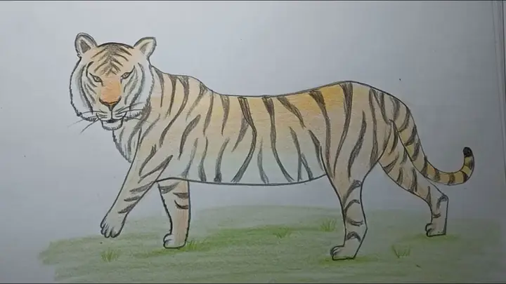 Cách Vẽ Hổ 3d Cách Vẽ Hổ 3d